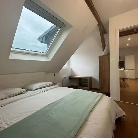 Appartement Calme, Climatise, Strasbourg Centre 15 Minutes *