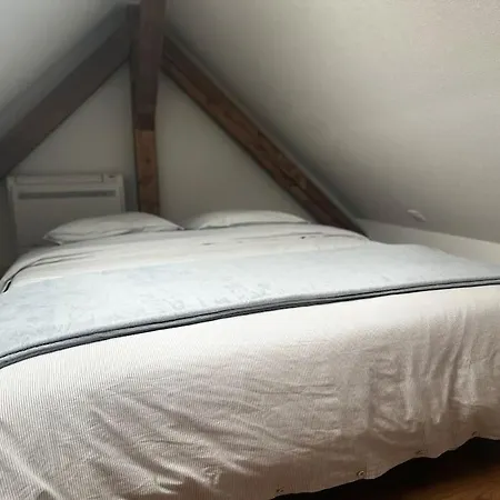 Appartement Calme, Climatise, Strasbourg Centre 15 Minutes *